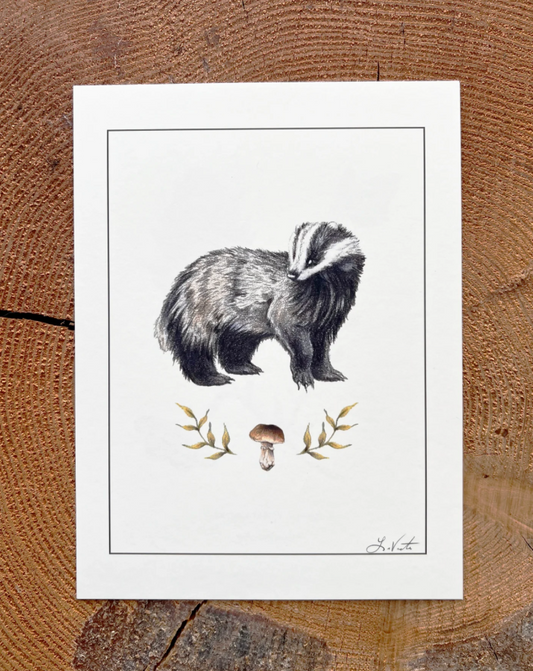 Native Fauna Art-  Badger & Porcini Mushroom - Illustration Print
