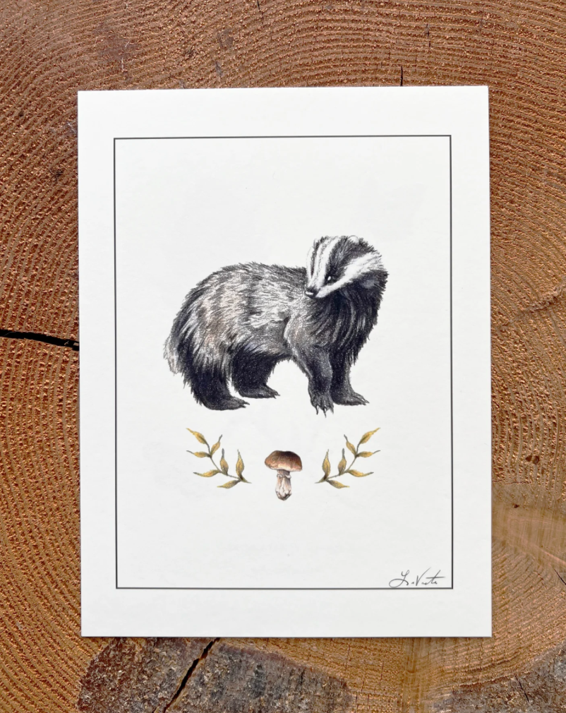 Native Fauna Art-  Badger & Porcini Mushroom - Illustration Print