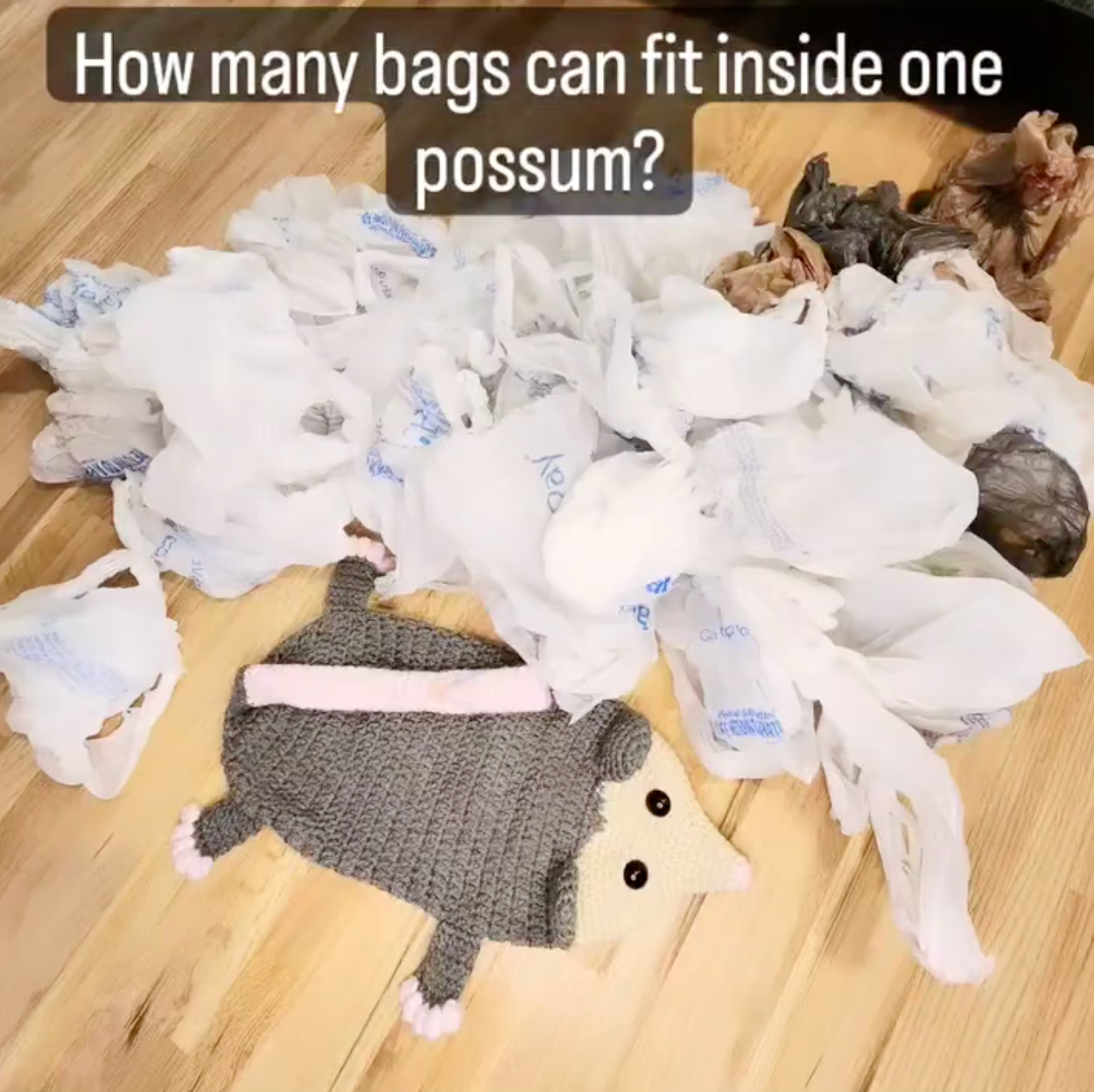 The Salty Stitchery- Possum Plastic Bag Holders