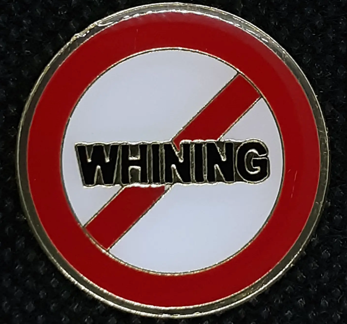 FSGC Enamel Pin- No Whining