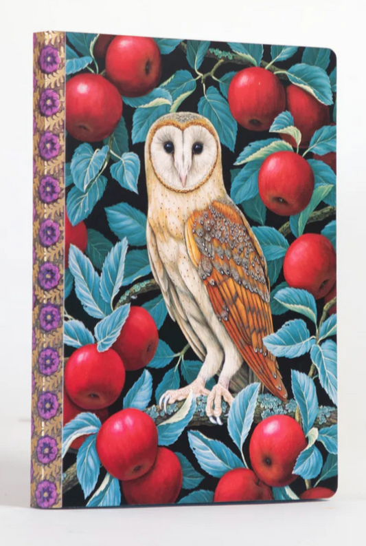 eeBoo- Barn Owl Journal