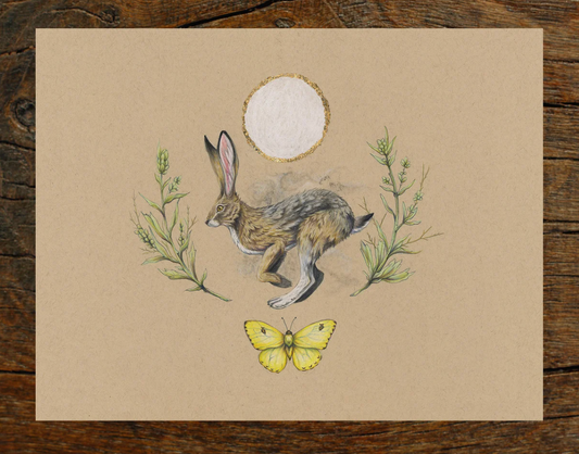 Native Fauna Art- Rabbit- Illustration Print