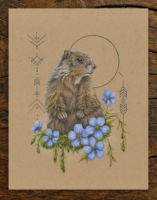 Native Fauna Art- Prairie Dog - Illustration Print