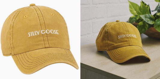 Questionables- Silly Goose Baseball Cap