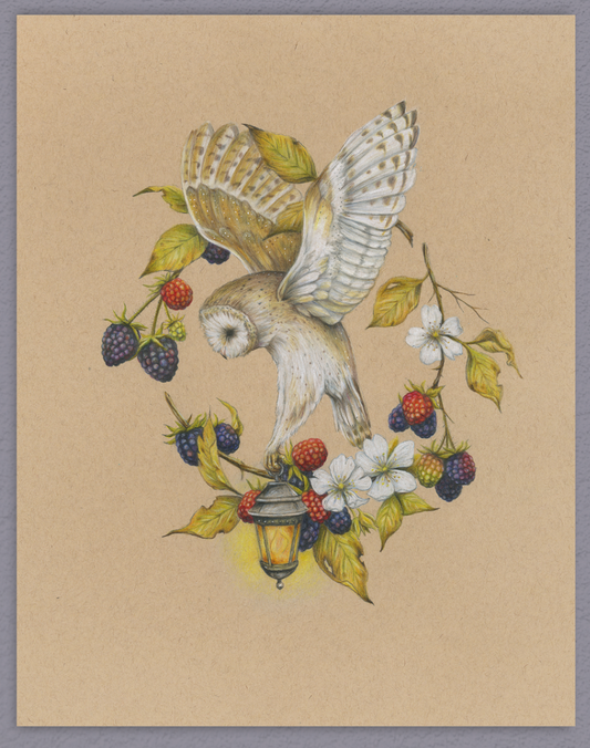 Native Fauna Art-  Owl - Illustration Print- "Lux Aeterna"