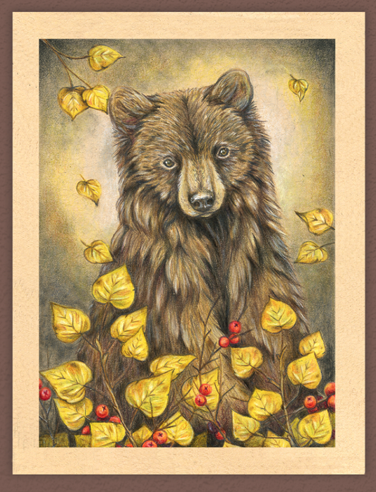 Native Fauna Art-  Bear - Illustration Print- "Daughter of the Aspens"