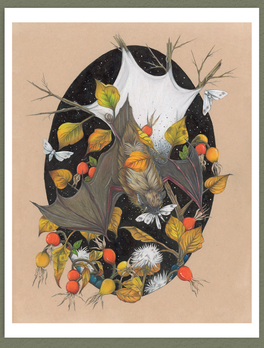 Native Fauna Art- 8.5"x11" Noctiphany Print