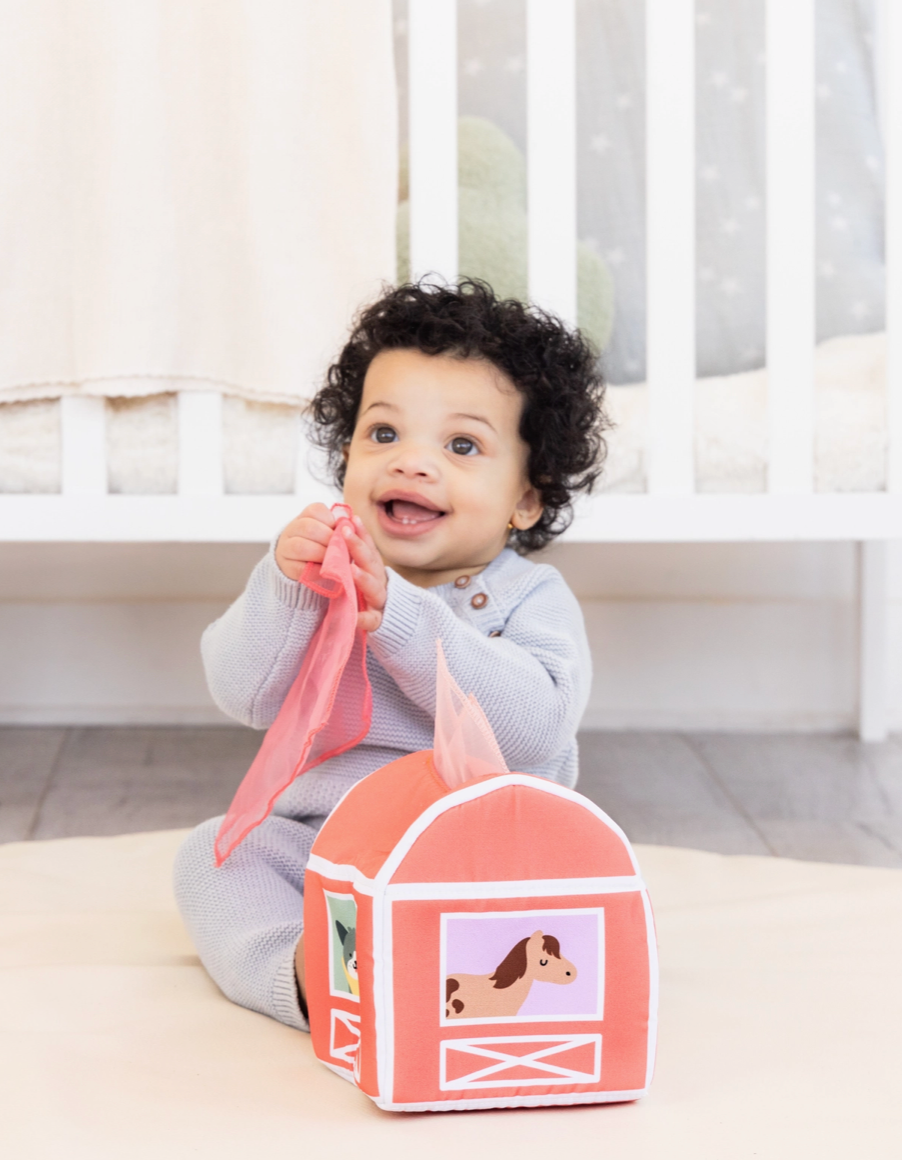 Pearhead- 6-12 Month Old Learning Kit