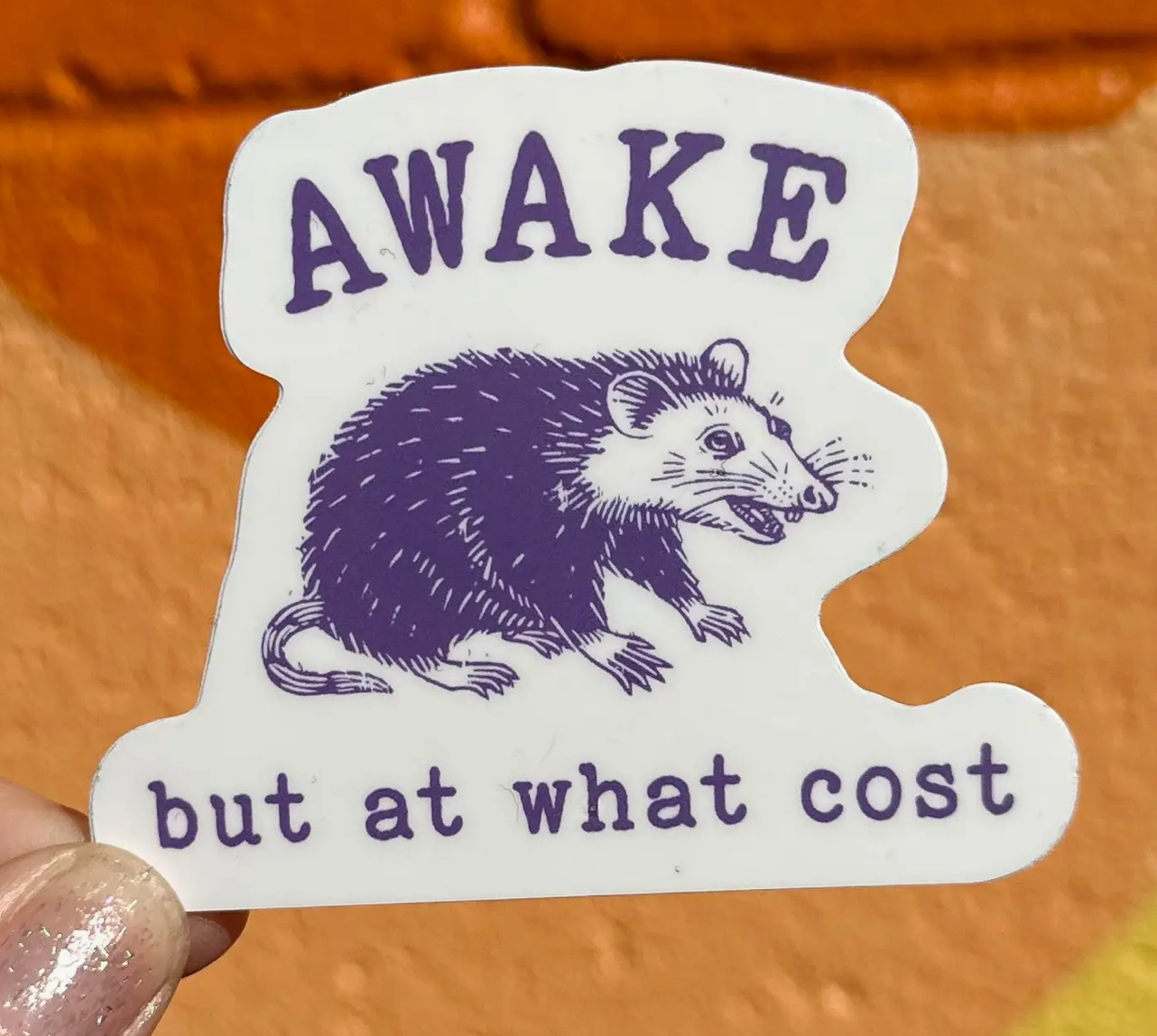 Hilarious Humanitarian- Awake But At What Cost Sticker