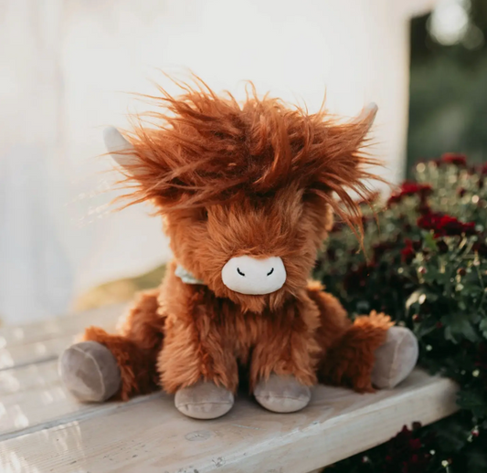 Bunnies by the Bay- Hamish the Highland Cow