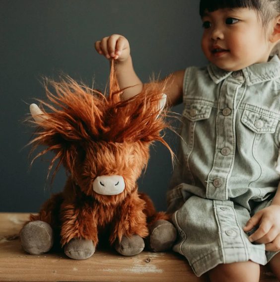 Bunnies by the Bay- Hamish the Highland Cow