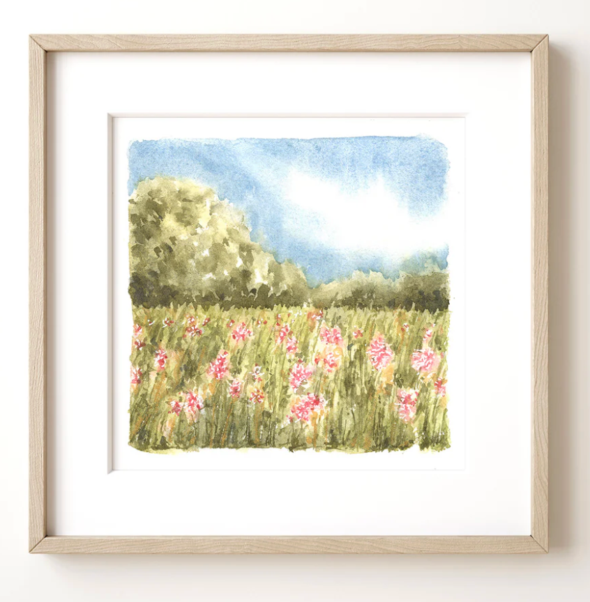 Ivywild Studio- 8"x8" Watercolor Print- Milkweeds in the Field
