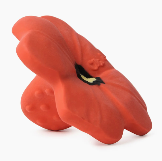 Oli & Carol- Pop the Poppy Teether