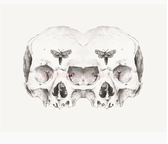Trisha Thompson Adams- Art Prints- Siamese Skulls