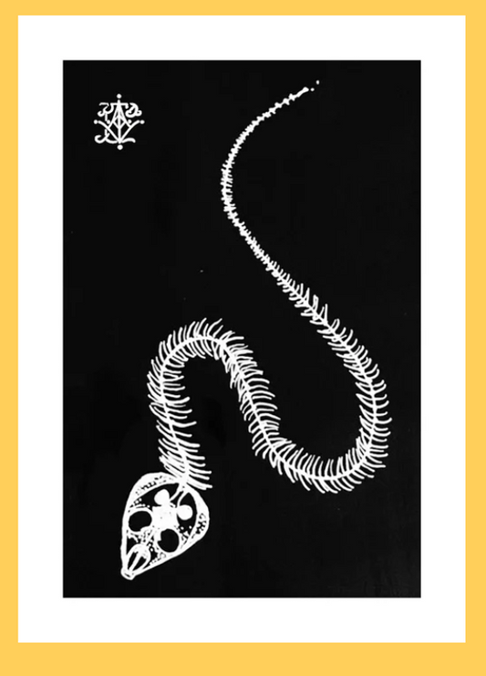 VanZayton Arts-  Snake Skeleton 8x10 Print