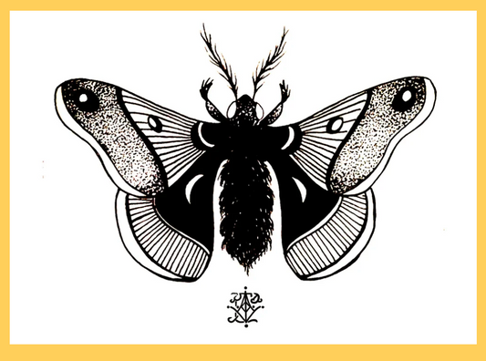 VanZayton Arts- The Moth 11x14 Print