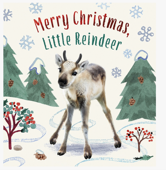 Abrams- Merry Christmas, Little Reindeer
