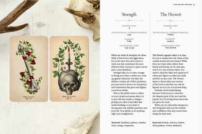 Abrams- Antique Anatomy Tarot Kit