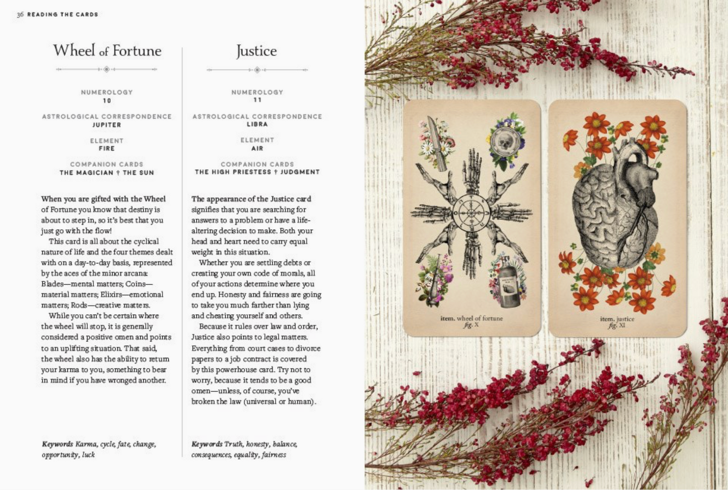Abrams- Antique Anatomy Tarot Kit