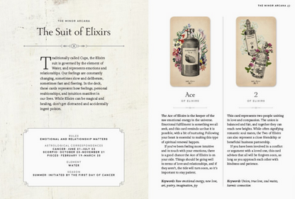 Abrams- Antique Anatomy Tarot Kit