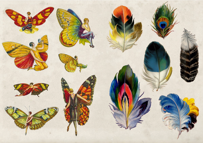 Abrams- The Curious Collectibles Sticker Book