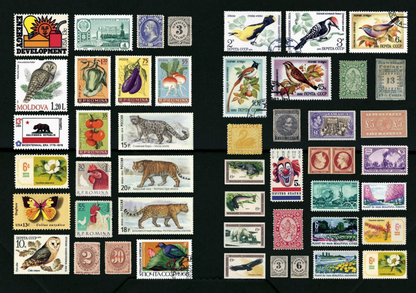 Abrams- The Curious Collectibles Sticker Book