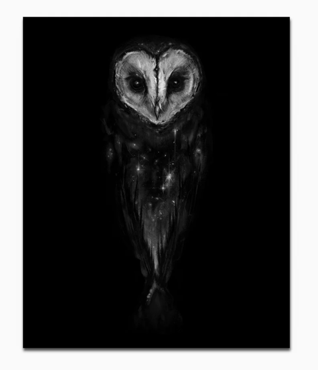 Brian Serway- Art Prints- "Whisper in the Rafters"