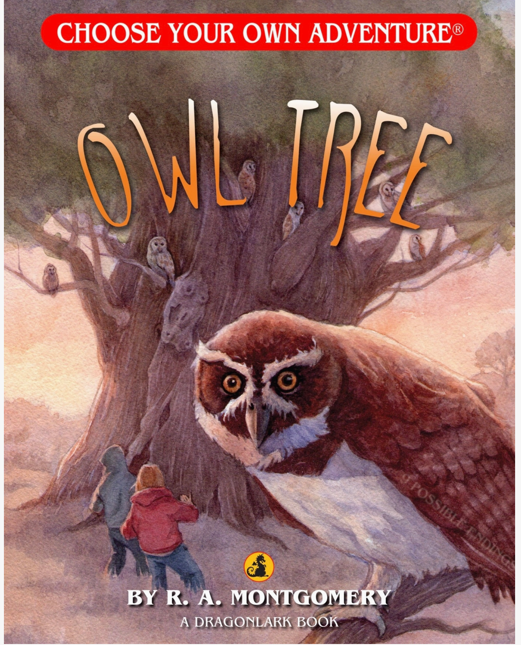 Choose Your Own Adventure: Owl Tree