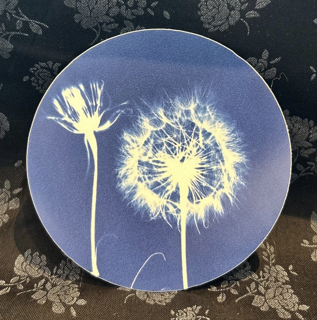 The Sun's Recipe- Cyanotype Sticker