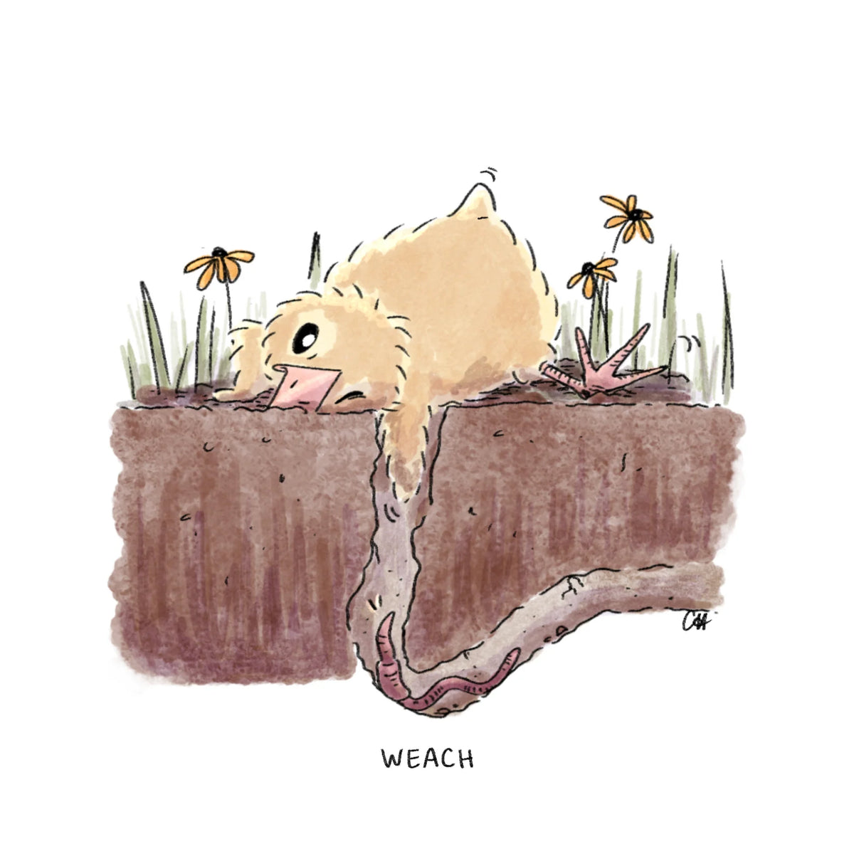 Doodled By Carrie- Art Prints-Little Chickie