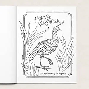 Your Very Favorite: 30 Dirty Birdies: An Adult Coloring Book