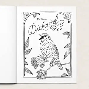 Your Very Favorite: 30 Dirty Birdies: An Adult Coloring Book