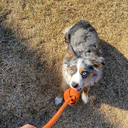 Climber Crafts- Handmade Upcycled Climbing Rope Dog Toy