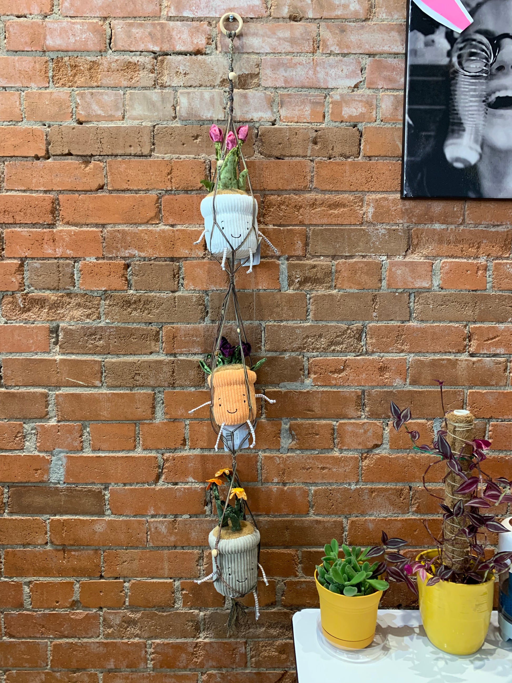 macrame plant hanger 3 tier Leah Valentine- 3 Tier Macrame Plant Hanger – Odds And Ends Emporium COS