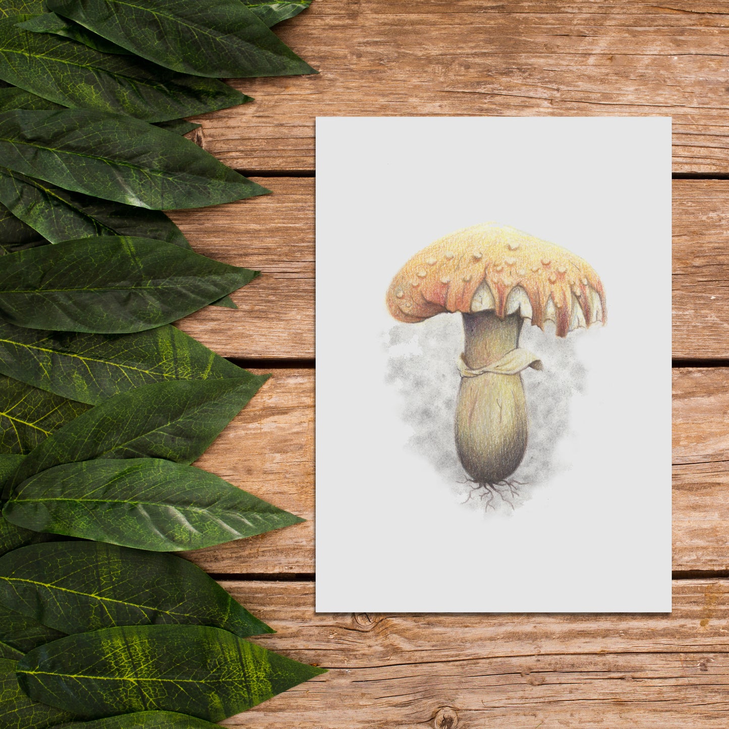 Native Fauna Art- 5"x7" Mushroom Print