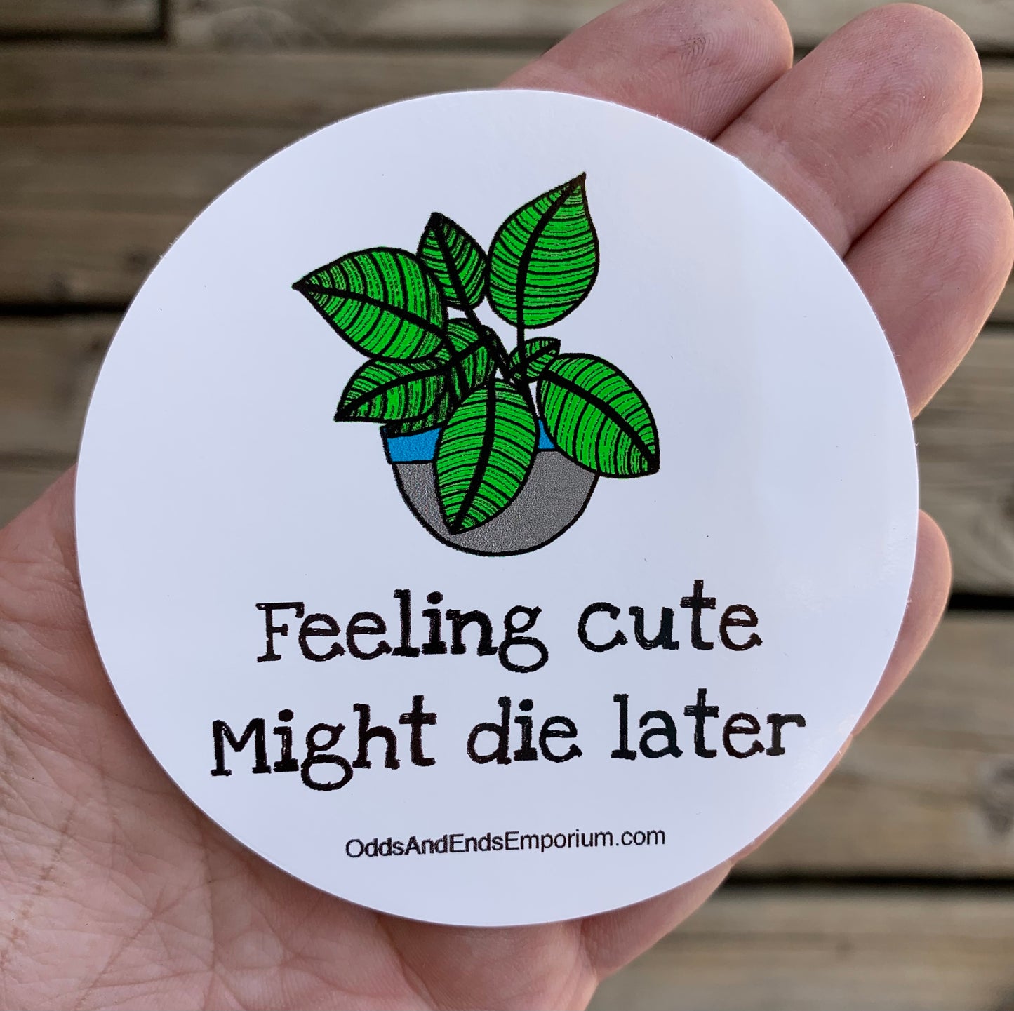 Feeling Cute Plant Sticker