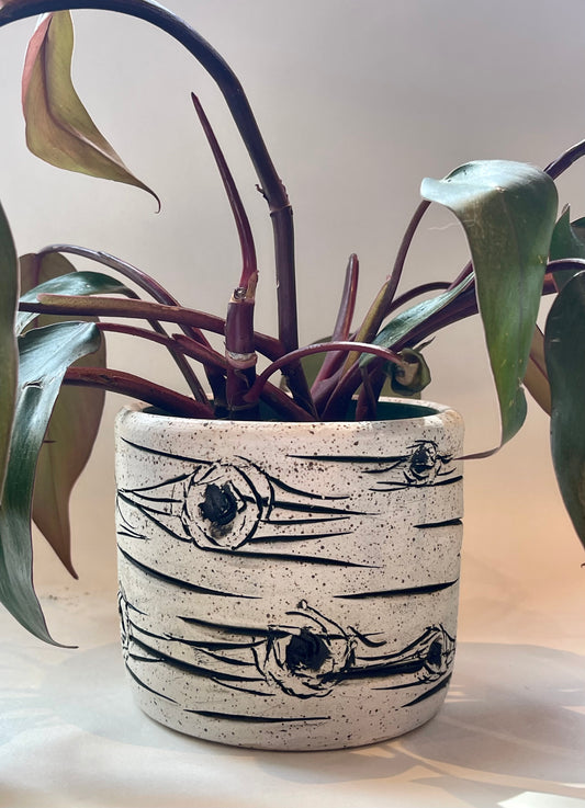Nitra Olsen Ceramics- Aspen Vases