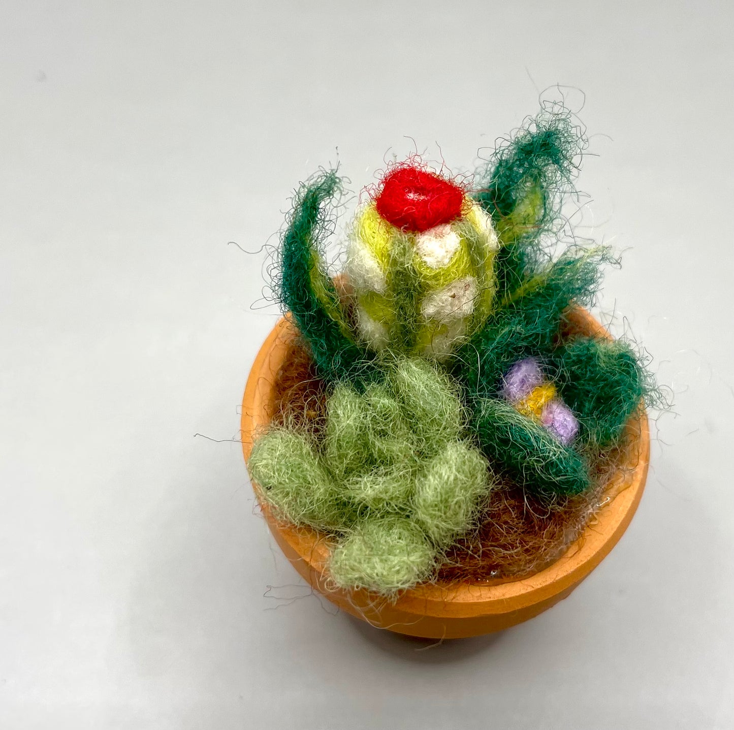 Odds and Ends Felted Succulent Pots