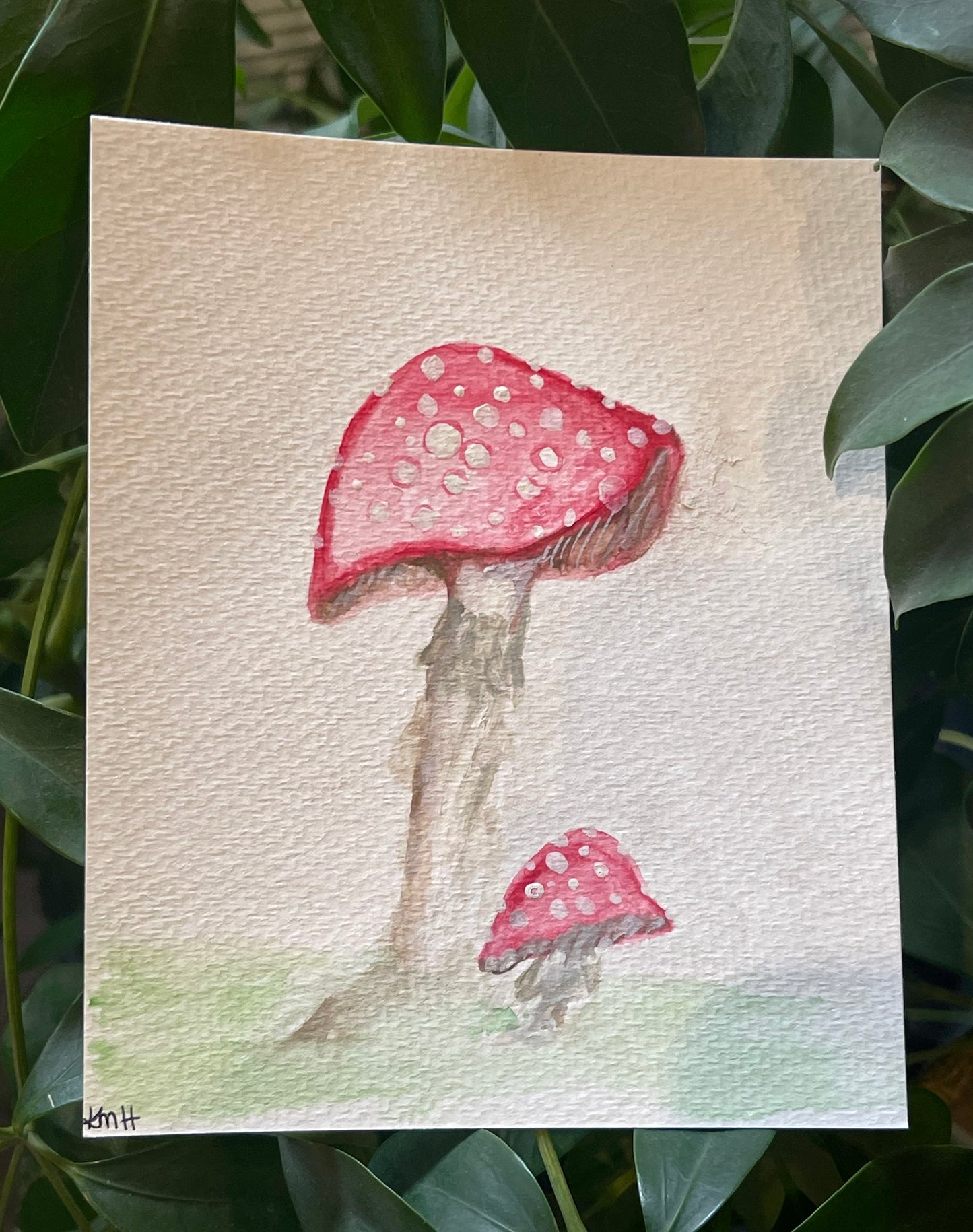 Keely Krueger- Original Watercolors- Mushrooms