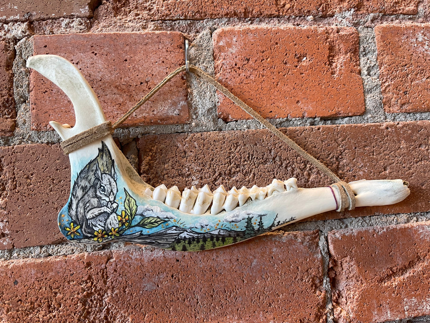 Native Fauna Art- Ethically Sourced Mule Deer Jaw Bone with Original Art Work