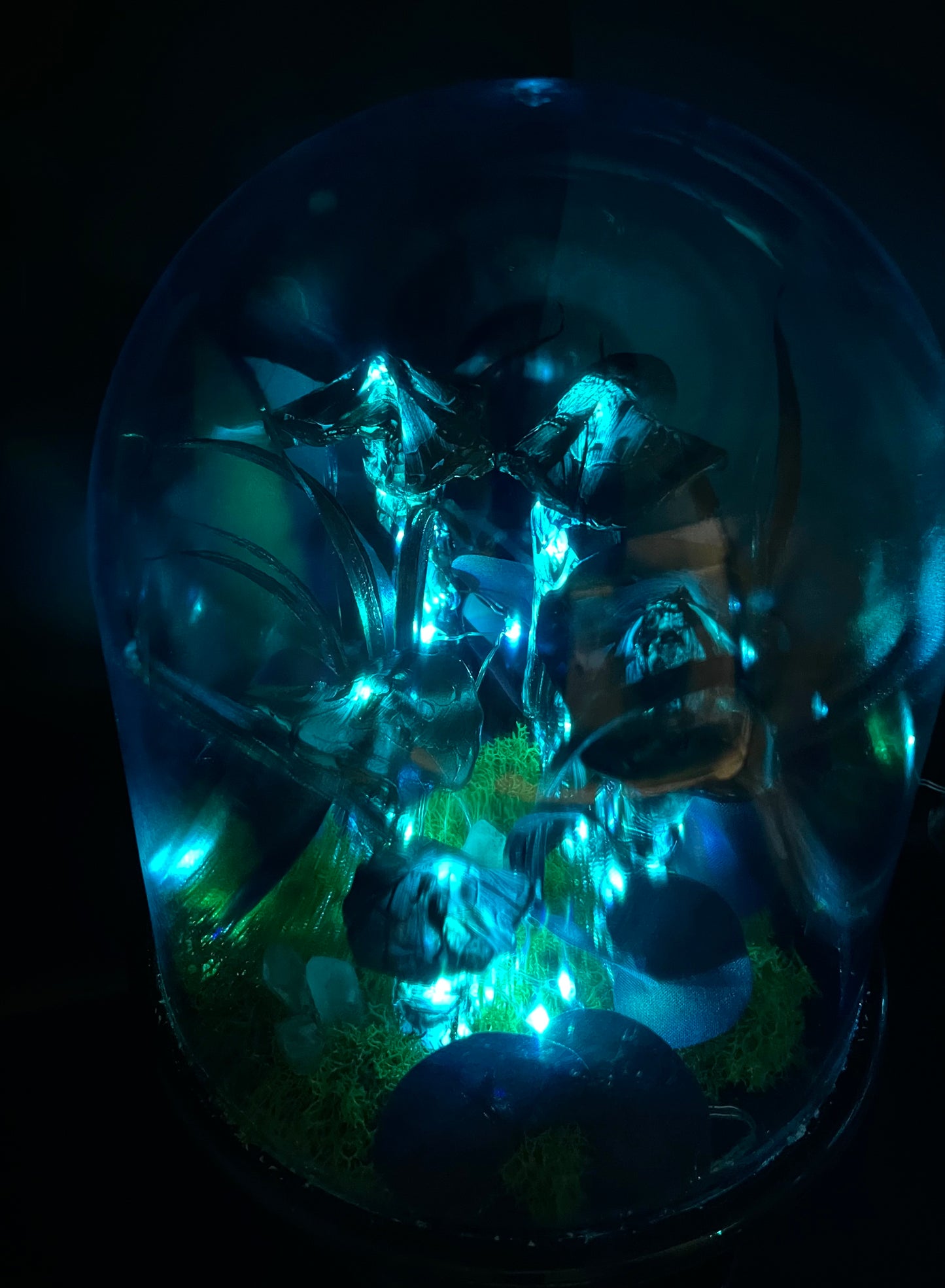 Keely Krueger- Handcrafted Cloche Mushroom Light