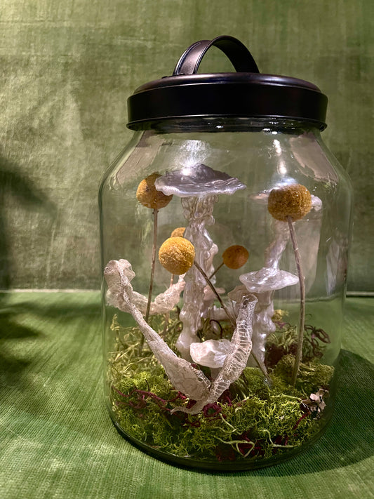 Keely Krueger- Handcrafted Mushroom and Snake Shed Terrarium