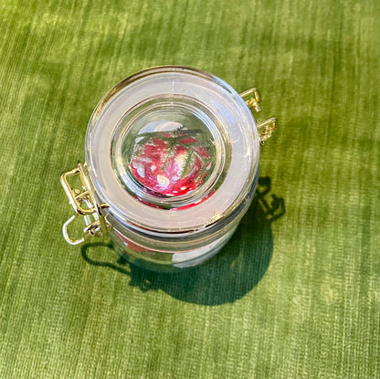 Keely Krueger- Handcrafted Tiny Jar Mushroom Terrarium