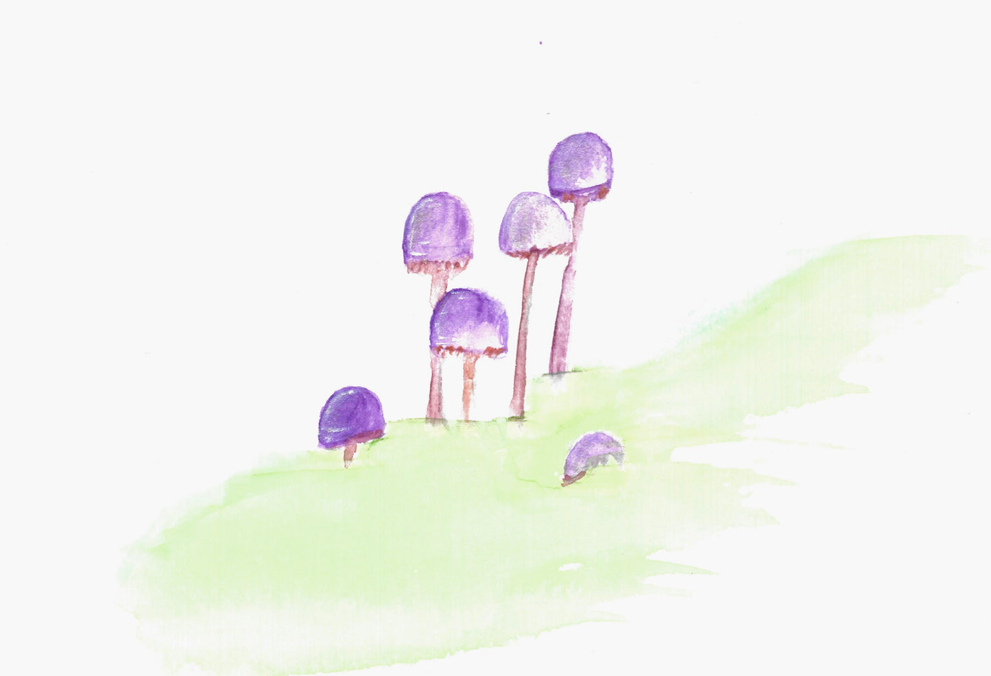 Keely Krueger- Original Watercolors- Mushrooms