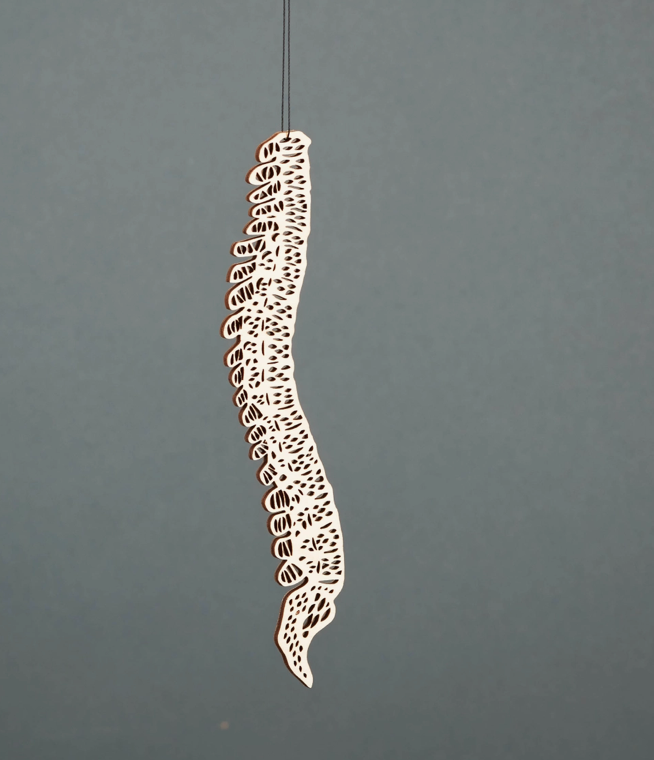 Light + Paper Anatomical Spine Wooden Ornament