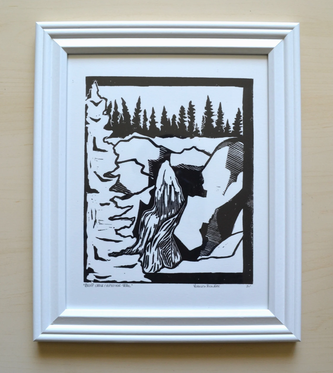 Veronica PremDas Fine Art Print- 11x14 Framed- RMNP Upper Chipmunk Trail
