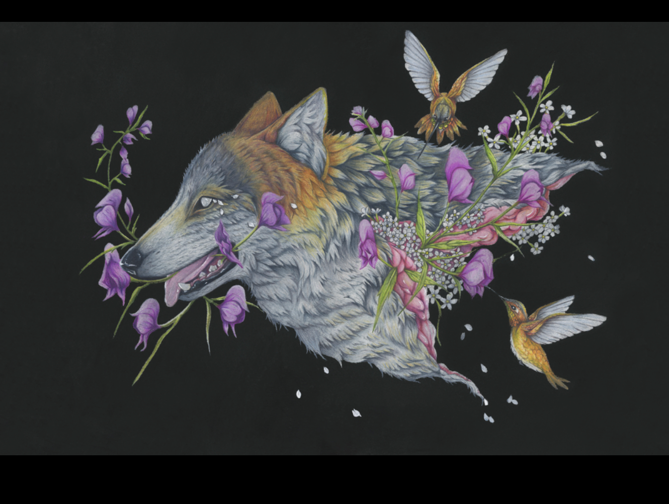 Native Fauna Art- 11"x8.5" Wolfbane Print