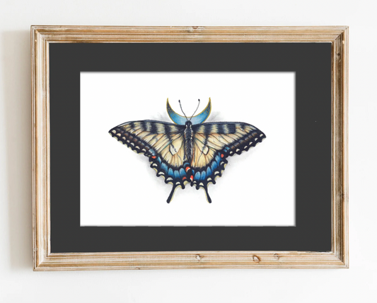 Native Fauna Art-  Eastern Swallowtail Print