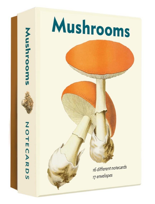Oddly Enough Books- Mushrooms: An Abbeville Notecard Set