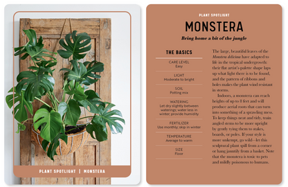 Oddly Enough Books- The Houseplant Card Deck